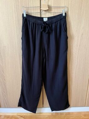 ARITZIA Sail Pants